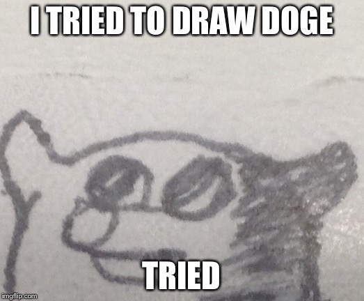 tried to draw doge | I TRIED TO DRAW DOGE; TRIED | image tagged in doge,memes,oh god why | made w/ Imgflip meme maker