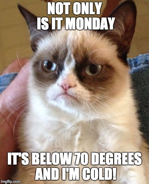 Grumpy Cat Meme | NOT ONLY IS IT MONDAY; IT'S BELOW 70 DEGREES AND I'M COLD! | image tagged in memes,grumpy cat | made w/ Imgflip meme maker