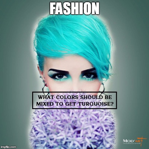 FASHION | image tagged in fashion designing colleges in delhi | made w/ Imgflip meme maker