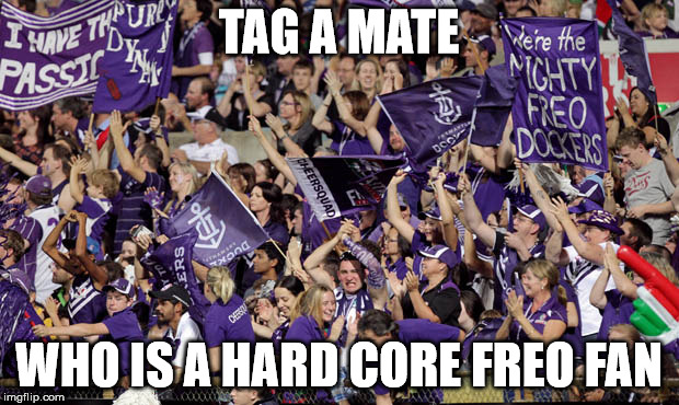 TAG A MATE; WHO IS A HARD CORE FREO FAN | image tagged in afl | made w/ Imgflip meme maker