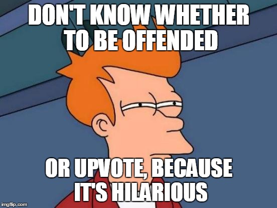 Futurama Fry Meme | DON'T KNOW WHETHER TO BE OFFENDED; OR UPVOTE, BECAUSE IT'S HILARIOUS | image tagged in memes,futurama fry | made w/ Imgflip meme maker