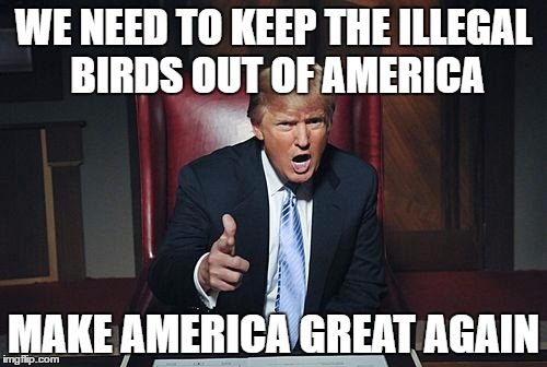 Donald Trump You're Fired | WE NEED TO KEEP THE ILLEGAL BIRDS OUT OF AMERICA; MAKE AMERICA GREAT AGAIN | image tagged in donald trump you're fired | made w/ Imgflip meme maker