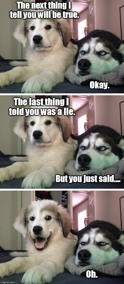 A Paradox for a Pair o' Dogs | The next thing I tell you will be true. Okay. The last thing I told you was a lie. But you just said.... Oh. | image tagged in bad pun dogs,memes,paradox | made w/ Imgflip meme maker