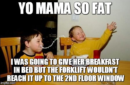 Yo Mamas So Fat | YO MAMA SO FAT; I WAS GOING TO GIVE HER BREAKFAST IN BED BUT THE FORKLIFT WOULDN'T REACH IT UP TO THE 2ND FLOOR WINDOW | image tagged in memes,yo mamas so fat | made w/ Imgflip meme maker