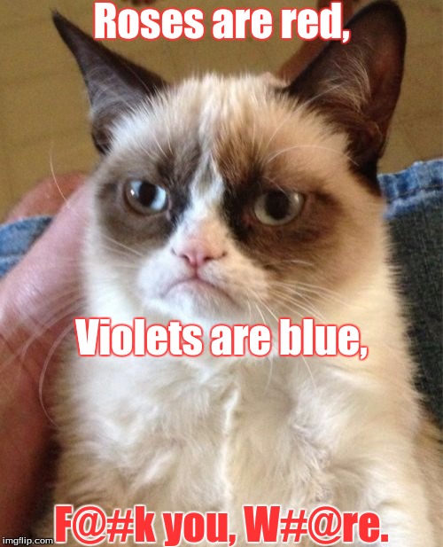 Grumpy Cat Meme | Roses are red, Violets are blue, F@#k you, W#@re. | image tagged in memes,grumpy cat | made w/ Imgflip meme maker