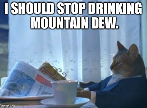 I Should Buy A Boat Cat | I SHOULD STOP DRINKING MOUNTAIN DEW. | image tagged in memes,i should buy a boat cat,AdviceAnimals | made w/ Imgflip meme maker