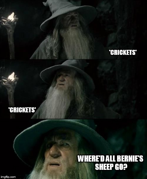 My Facebook is so much quieter these days! | 'CRICKETS'; 'CRICKETS'; WHERE'D ALL BERNIE'S SHEEP GO? | image tagged in memes,confused gandalf | made w/ Imgflip meme maker