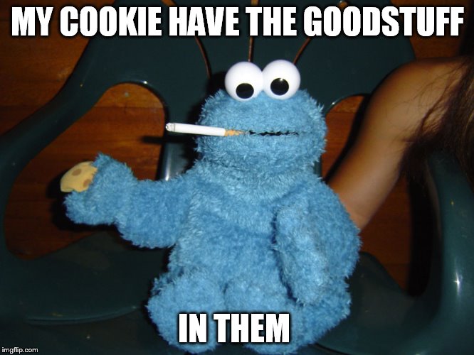 MY COOKIE HAVE THE GOODSTUFF; IN THEM | image tagged in cookie monster | made w/ Imgflip meme maker