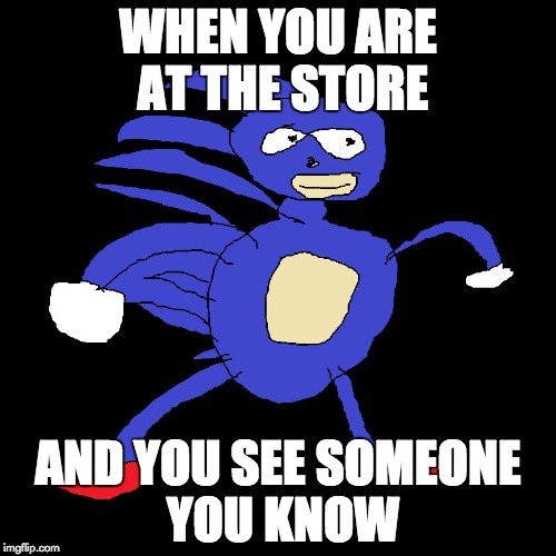 WHEN YOU ARE AT THE STORE; AND YOU SEE SOMEONE YOU KNOW | image tagged in sanic | made w/ Imgflip meme maker