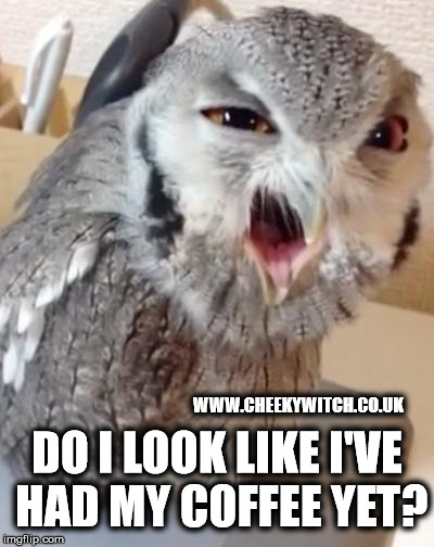 angry owl needs coffee - Imgflip