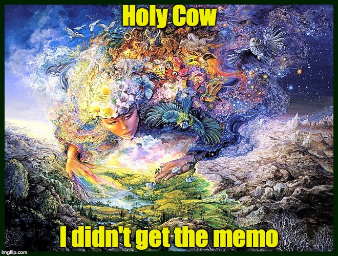 Holy Cow I didn't get the memo | made w/ Imgflip meme maker