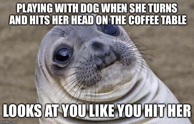 Awkward Moment Sealion Meme | PLAYING WITH DOG WHEN SHE TURNS AND HITS HER HEAD ON THE COFFEE TABLE; LOOKS AT YOU LIKE YOU HIT HER | image tagged in memes,awkward moment sealion,AdviceAnimals | made w/ Imgflip meme maker