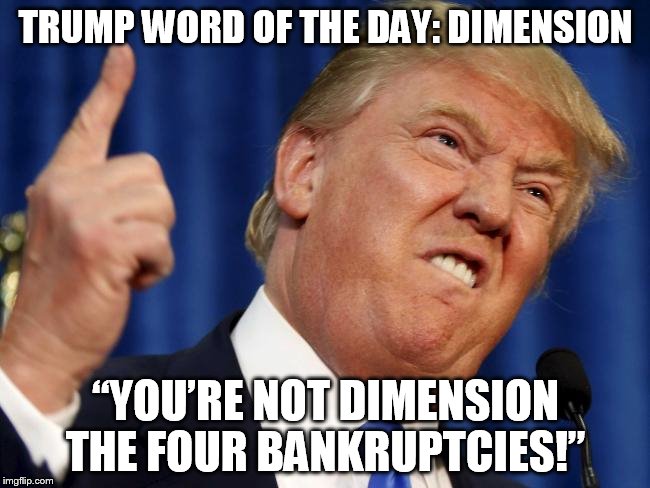 TRUMP WORD OF THE DAY: DIMENSION; “YOU’RE NOT DIMENSION THE FOUR BANKRUPTCIES!” | image tagged in donald trump,trump about to lose it | made w/ Imgflip meme maker