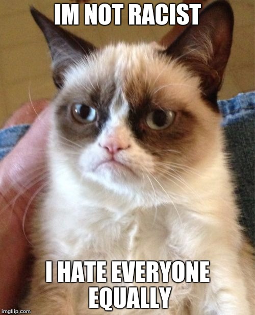 Grumpy Cat | IM NOT RACIST; I HATE EVERYONE EQUALLY | image tagged in memes,grumpy cat | made w/ Imgflip meme maker