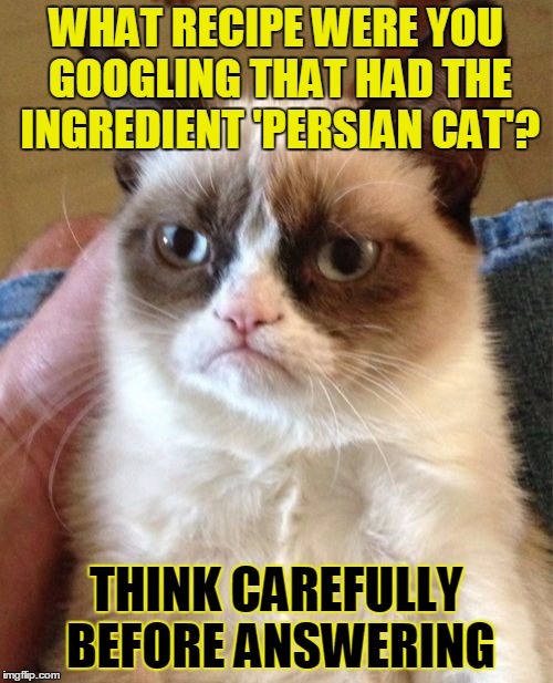 Grumpy Cat Meme | WHAT RECIPE WERE YOU GOOGLING THAT HAD THE INGREDIENT 'PERSIAN CAT'? THINK CAREFULLY BEFORE ANSWERING | image tagged in memes,grumpy cat | made w/ Imgflip meme maker