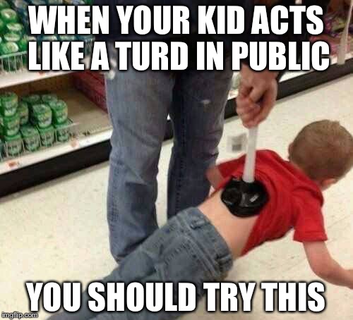 Problem Solved... | WHEN YOUR KID ACTS LIKE A TURD IN PUBLIC; YOU SHOULD TRY THIS | image tagged in plunger,turd,behavior,funny | made w/ Imgflip meme maker
