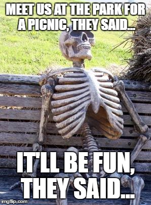 Waiting Skeleton Meme | MEET US AT THE PARK FOR A PICNIC, THEY SAID... IT'LL BE FUN, THEY SAID... | image tagged in memes,waiting skeleton | made w/ Imgflip meme maker