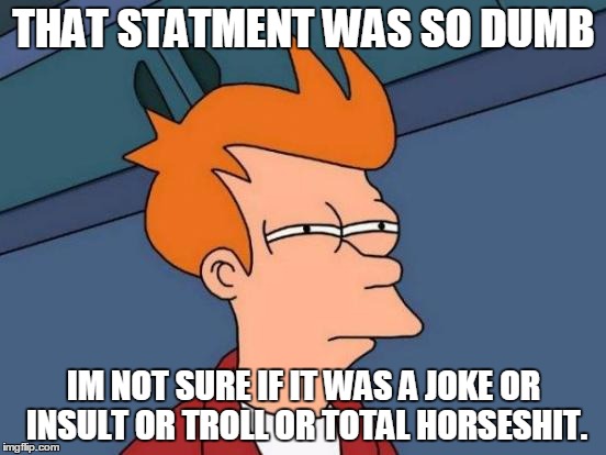 Futurama Fry | THAT STATMENT WAS SO DUMB; IM NOT SURE IF IT WAS A JOKE OR INSULT OR TROLL OR TOTAL HORSESHIT. | image tagged in memes,futurama fry | made w/ Imgflip meme maker