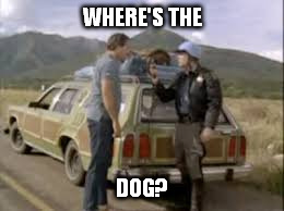 WHERE'S THE DOG? | made w/ Imgflip meme maker