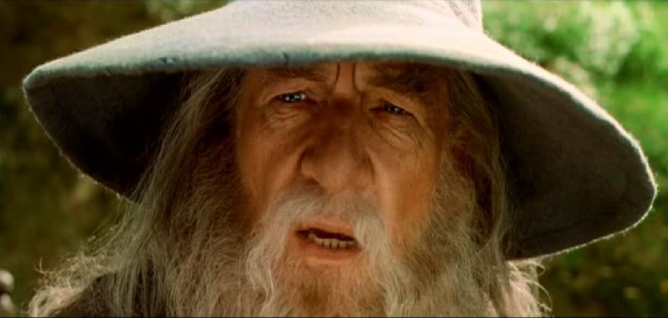 High Quality Gandolf Blank Meme Template