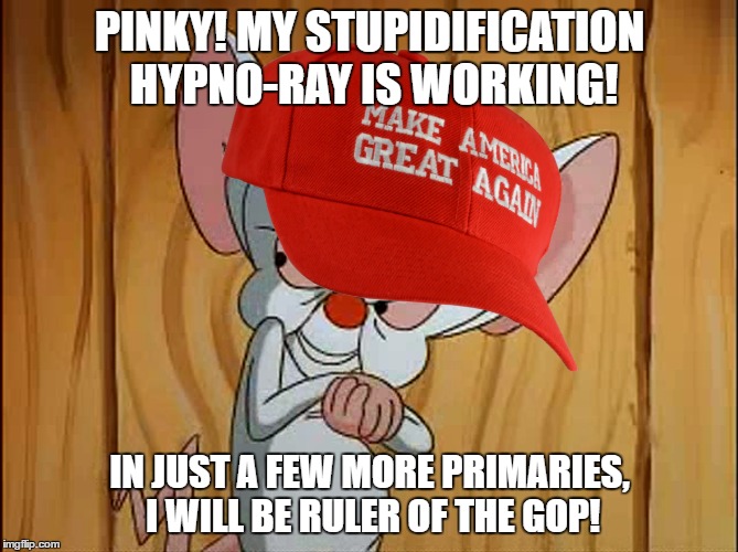 Ratatouille is not the only story about a mouse of a man  | PINKY! MY STUPIDIFICATION HYPNO-RAY IS WORKING! IN JUST A FEW MORE PRIMARIES, I WILL BE RULER OF THE GOP! | image tagged in pinky and the brain,election 2016,political memes,liberals vs conservatives,american politics,donald trump approves | made w/ Imgflip meme maker