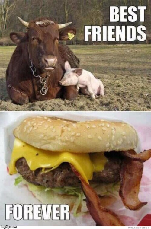 . | image tagged in best friends,bff,cow,pig,burger,meme | made w/ Imgflip meme maker