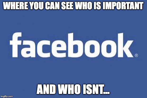 facebook | WHERE YOU CAN SEE WHO IS IMPORTANT; AND WHO ISNT... | image tagged in facebook | made w/ Imgflip meme maker