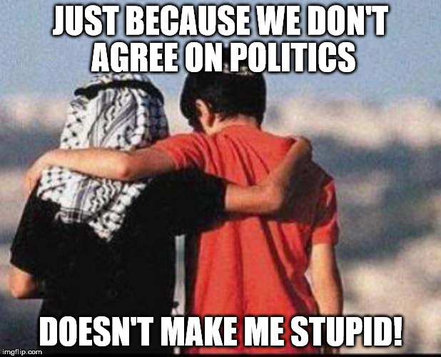 peace | JUST BECAUSE WE DON'T AGREE ON POLITICS; DOESN'T MAKE ME STUPID! | image tagged in peace | made w/ Imgflip meme maker