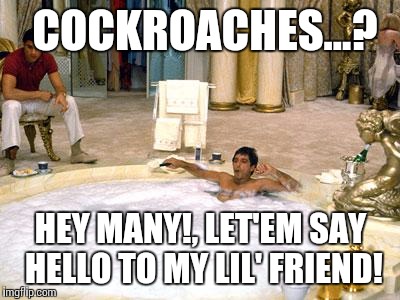 tony Montana  | COCKROACHES...? HEY MANY!, LET'EM SAY HELLO TO MY LIL' FRIEND! | image tagged in tony montana | made w/ Imgflip meme maker