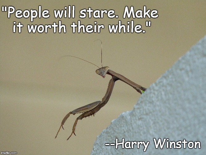 "People will stare. Make it worth their while."; --Harry Winston | image tagged in staring | made w/ Imgflip meme maker