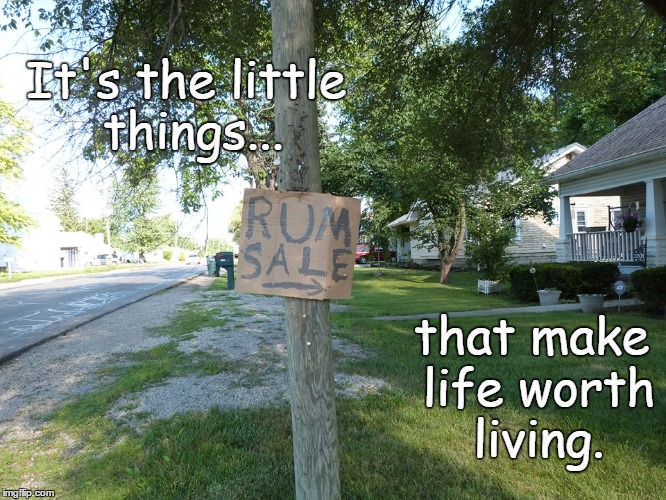 It's the little things... that make life worth living. | image tagged in alcohol | made w/ Imgflip meme maker