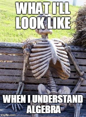 Waiting Skeleton Meme | WHAT I'LL LOOK LIKE; WHEN I UNDERSTAND ALGEBRA | image tagged in memes,waiting skeleton | made w/ Imgflip meme maker