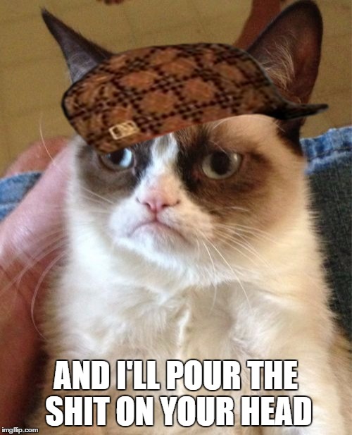 Grumpy Cat Meme | AND I'LL POUR THE SHIT ON YOUR HEAD | image tagged in memes,grumpy cat,scumbag | made w/ Imgflip meme maker