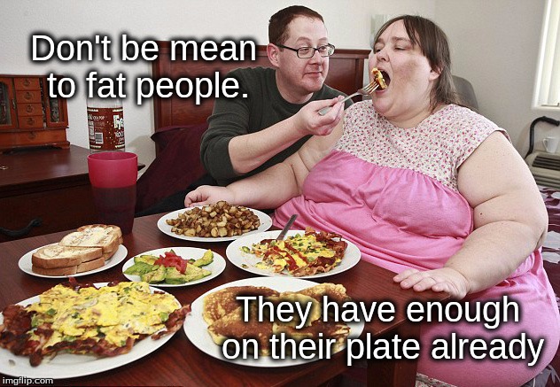 Obeast  | Don't be mean to fat people. They have enough on their plate already | image tagged in first world problems | made w/ Imgflip meme maker