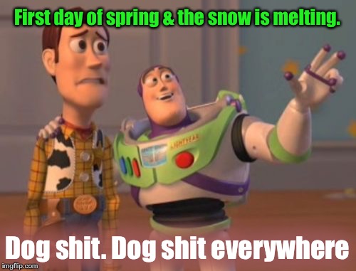 My back yard | First day of spring & the snow is melting. Dog shit. Dog shit everywhere | image tagged in memes,x x everywhere | made w/ Imgflip meme maker