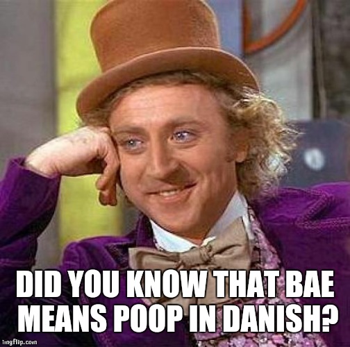 Creepy Condescending Wonka | DID YOU KNOW THAT BAE MEANS POOP IN DANISH? | image tagged in memes,creepy condescending wonka | made w/ Imgflip meme maker
