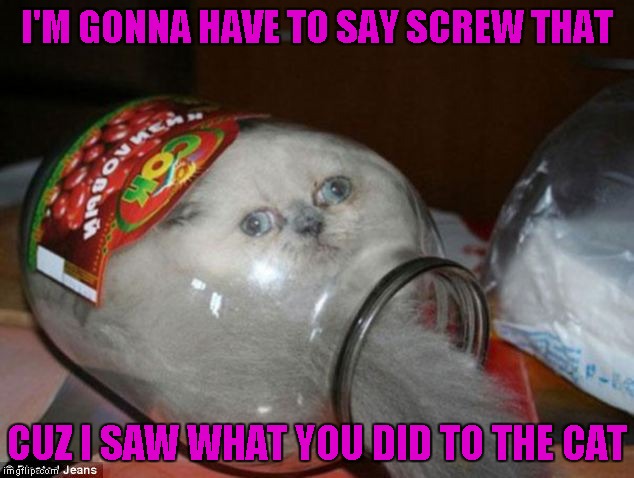 I'M GONNA HAVE TO SAY SCREW THAT CUZ I SAW WHAT YOU DID TO THE CAT | made w/ Imgflip meme maker