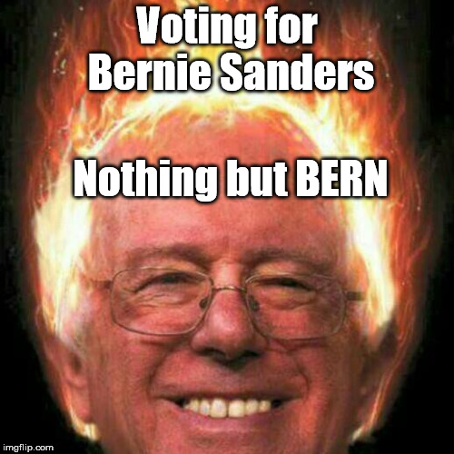 hair Bern #Bernie2016 | Voting for Bernie Sanders; Nothing but BERN | image tagged in hair bern bernie2016 | made w/ Imgflip meme maker