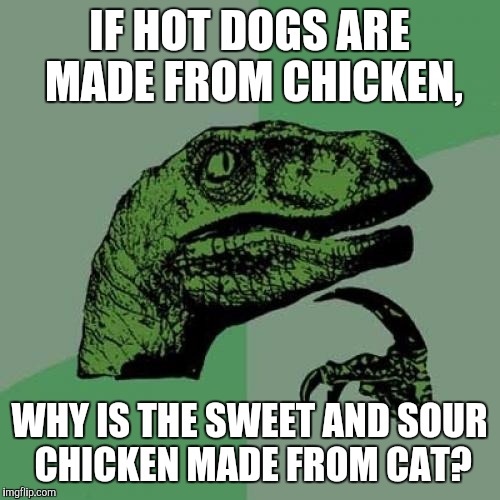 Philosoraptor Meme | IF HOT DOGS ARE MADE FROM CHICKEN, WHY IS THE SWEET AND SOUR CHICKEN MADE FROM CAT? | image tagged in memes,philosoraptor | made w/ Imgflip meme maker