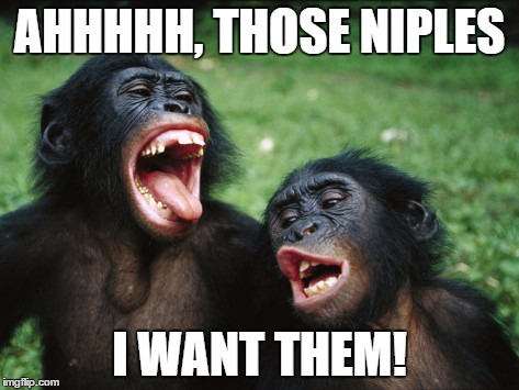 Sh*t, I Want Them | AHHHHH, THOSE NIPLES; I WANT THEM! | image tagged in memes,bonobo lyfe,dirty mind,boobies,monkey business,bold | made w/ Imgflip meme maker