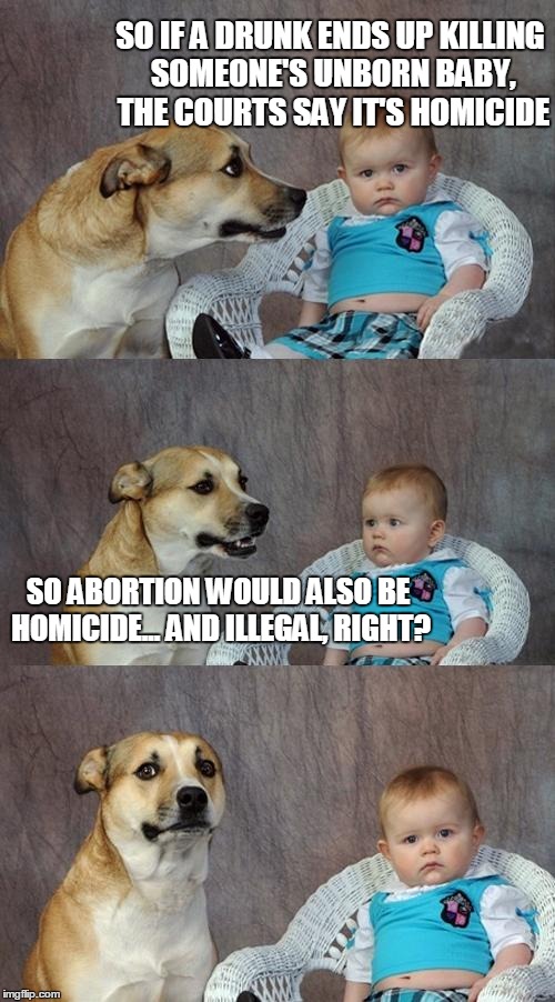 trying to understand | SO IF A DRUNK ENDS UP KILLING SOMEONE'S UNBORN BABY, THE COURTS SAY IT'S HOMICIDE; SO ABORTION WOULD ALSO BE HOMICIDE... AND ILLEGAL, RIGHT? | image tagged in memes,dad joke dog,abortion,stupid,court,supreme court | made w/ Imgflip meme maker