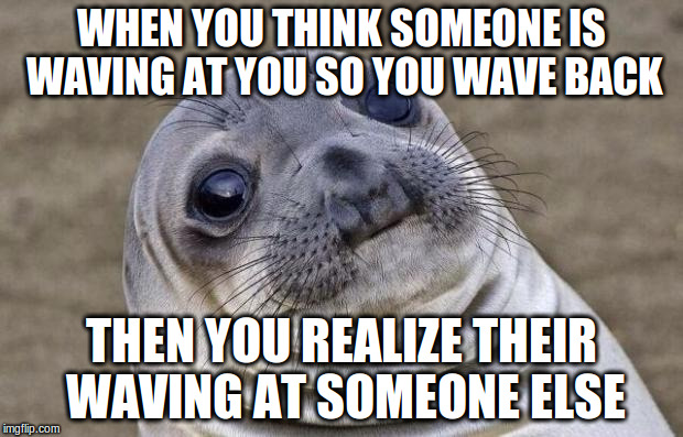 Awkward Moment Sealion Meme | WHEN YOU THINK SOMEONE IS WAVING AT YOU SO YOU WAVE BACK; THEN YOU REALIZE THEIR WAVING AT SOMEONE ELSE | image tagged in memes,awkward moment sealion | made w/ Imgflip meme maker