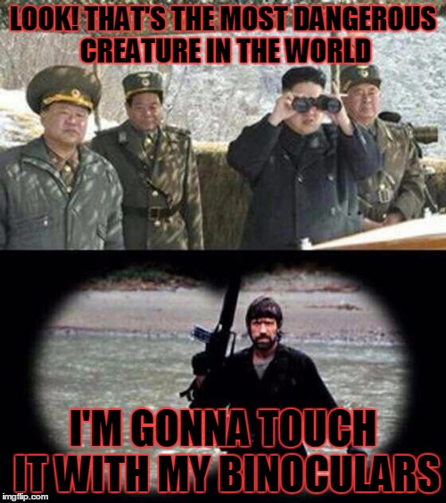 chuck norris | LOOK! THAT'S THE MOST DANGEROUS CREATURE IN THE WORLD; I'M GONNA TOUCH IT WITH MY BINOCULARS | image tagged in chuck norris | made w/ Imgflip meme maker