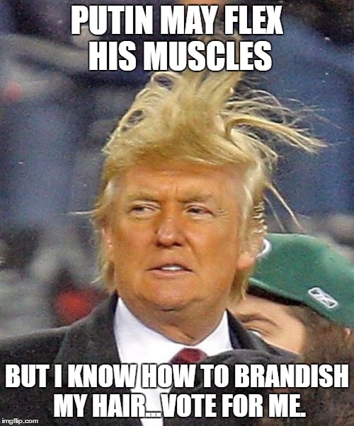 Donald Trumph hair | PUTIN MAY FLEX HIS MUSCLES; BUT I KNOW HOW TO BRANDISH MY HAIR...VOTE FOR ME. | image tagged in donald trumph hair | made w/ Imgflip meme maker