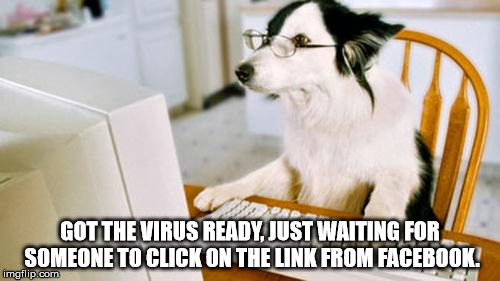 Dog computer | GOT THE VIRUS READY, JUST WAITING FOR SOMEONE TO CLICK ON THE LINK FROM FACEBOOK. | image tagged in dog computer | made w/ Imgflip meme maker