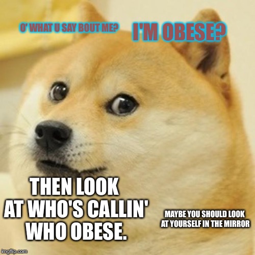 Obese DOGEEEEEE | O' WHAT U SAY BOUT ME? I'M OBESE? THEN LOOK AT WHO'S CALLIN' WHO OBESE. MAYBE YOU SHOULD LOOK AT YOURSELF IN THE MIRROR | image tagged in memes,doge | made w/ Imgflip meme maker