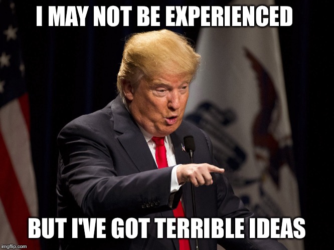 I MAY NOT BE EXPERIENCED; BUT I'VE GOT TERRIBLE IDEAS | image tagged in trump terrible ideas | made w/ Imgflip meme maker