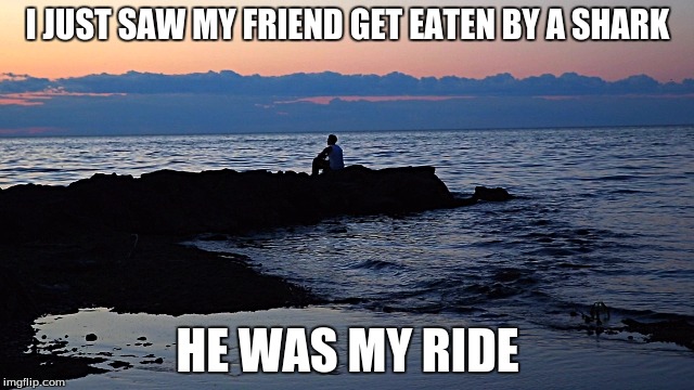 Dang | I JUST SAW MY FRIEND GET EATEN BY A SHARK; HE WAS MY RIDE | image tagged in dang,memes | made w/ Imgflip meme maker