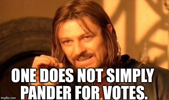 One Does Not Simply Meme | ONE DOES NOT SIMPLY PANDER FOR VOTES. | image tagged in memes,one does not simply | made w/ Imgflip meme maker