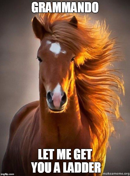 Horse | GRAMMANDO; LET ME GET YOU A LADDER | image tagged in horse | made w/ Imgflip meme maker